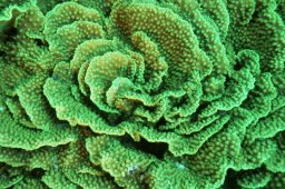 20000908_Mangrove_Bay_0018